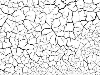 The cracks texture white and black. Vector background.Cracked earth. Structure of cracking. Cracks in dry surface soil texture. - obrazy, fototapety, plakaty