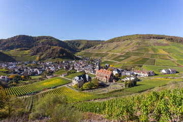 Naklejka premium Blick auf Mayschoss vom Rotweinwanderweg im Herbst