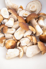 mushrooms, cmushrooms, ceps, autumneps, autumn