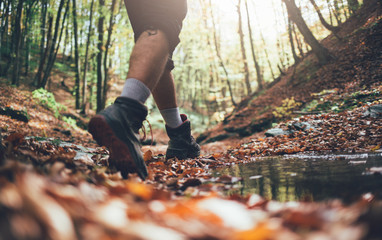 Close up of hiker legs in autumn forest