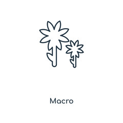 macro icon vector