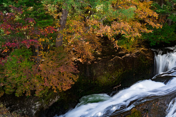紅葉した木々と雄大な川