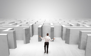 Obraz premium Businessman choosing between entrances in a middle of a maze 