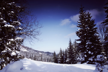 Fototapeta na wymiar Snowy view in Tatra Mountains, winter landscapes series