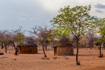 Village, Maison, typique, tribu, Himba, Namibie, Afrique, orange, voyage, paysage