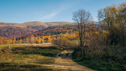 Bieszczady, Tarnica, jesień © D'automne Dragon