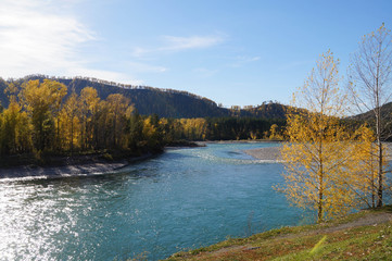 Beautiful view in the Katun river valley, Altai,Russia.