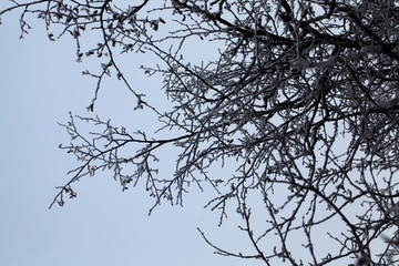 Winter time, close-up crystals ice