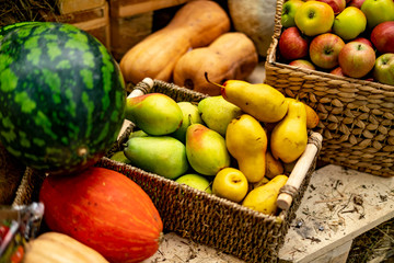 various autumn harvest vegetables on wooden surface and in bucket f