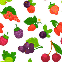Fruits and berries raspberry and strawberry seamless pattern vector.