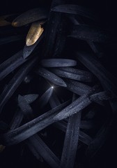 beautiful black leaves