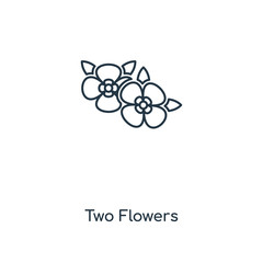 two flowers icon vector