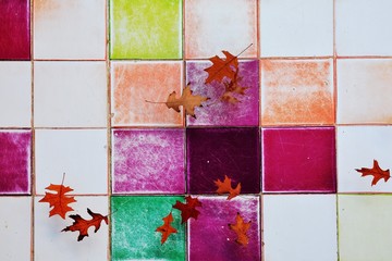 Seasonal abstract background. Leaves on water surface and colorful vintage tiles.