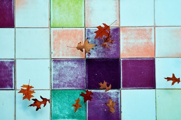 Seasonal abstract background. Leaves on water surface and colorful vintage tiles.