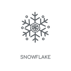 snowflake icon