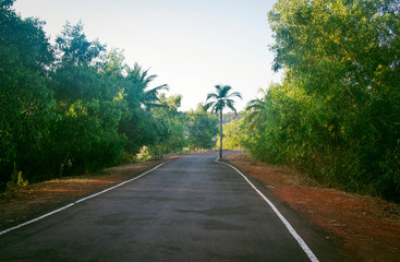 Empty road in Goa India at sunny day