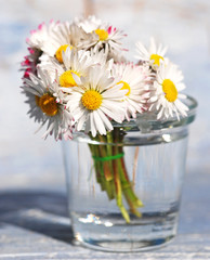 Bunch of flowers - daisy - Blumenstrauß - Gänseblümchen und Vergissmeinnicht 