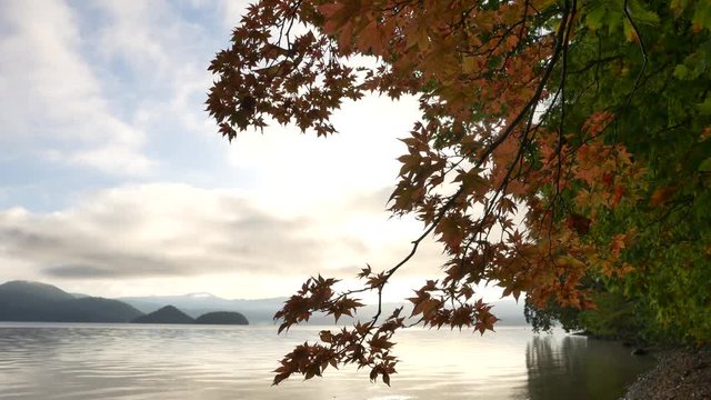 Fall Leaves at Lake toya