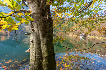 Langbathsee mit bunten Laubbäumen und Herbstblättern, an einem wunderschönen Herbsttag