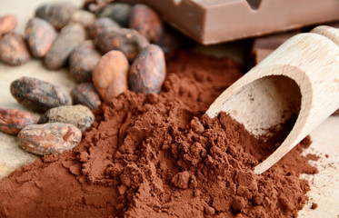 Cocoa beans and powder with chocolate
