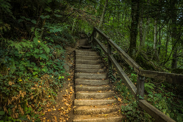 Steintreppe im Wald