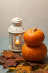 Two orange pumpkins on a white blue background. In warm colours. Decorative lantern with a burning candle. Near lie maple leaves. Autumn composition. Halloween. Harvest. Postcard