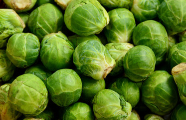 Many Brussels Sprouts with full frame.
Benefit of Brussels Sprouts.