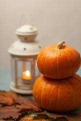 Two orange pumpkins on a white blue background. In warm colours. Decorative lantern with a burning candle. Near lie maple leaves. Autumn composition. Halloween. Harvest. Postcard