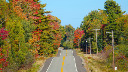 Fall colored forest surrounds the concrete road running through New Hampshire.