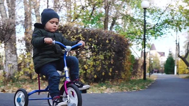 Child rides a bicycle. First bike for little child. Active toddler kid playing and cycling outdoors.