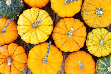 pumpkin on table