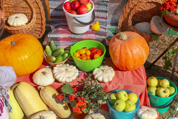 Fresh vegetables are sold at the fair in the fall