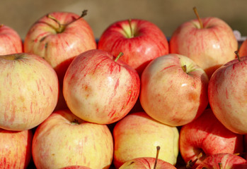 Apples are sold at the fair in the fall