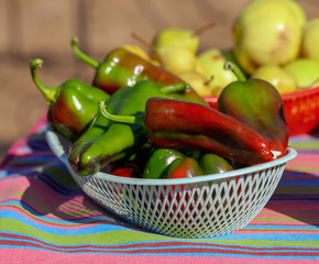 Fresh vegetables are sold at the fair in the fall