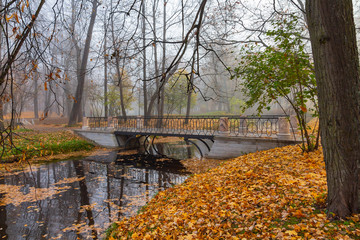 Bridge, fog, autumn. Aleksandvsky Park in Pushkin, St. Petersburg,