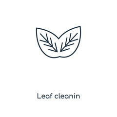 leaf cleanin icon vector