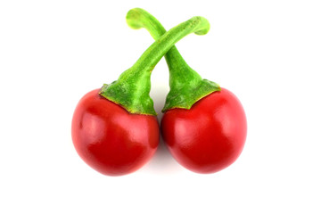 Isolated Red Hot Chili Pepper (Round Cherry Bomb Chilli or Chile).
