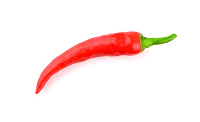 Isolated Red Hot Chili Pepper (Chilli, Chile).