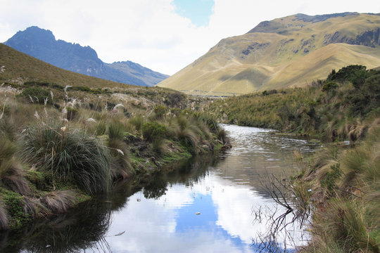 River Near Otavalo In Ecuador