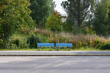 Two empty benches on the sidewalk with trees and plants in the background in an autumn season.
