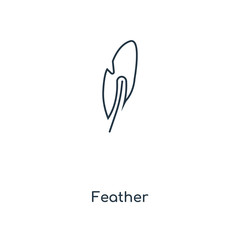 feather icon vector
