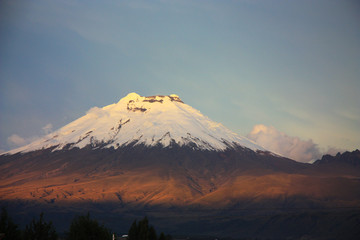 Fototapeta premium The Cotopaxi volcano with clear sky in the evening. Ecuador.