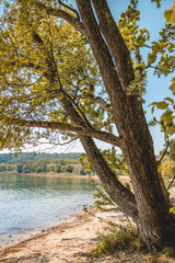 Beautiful view on the Mainau island - Bodensee - Bavaria - Germany