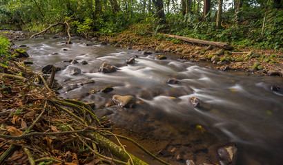 Small river in Costa Rica