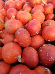 Kürbis