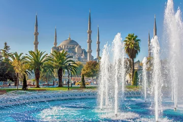 Fotobehang Blue mosque - Sultanahmet Camii, landmark in Istanbul © Olena Rublenko