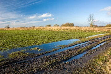 Photo sur Plexiglas Campagne Flaques d& 39 eau sur une route de campagne, champ vert et ciel bleu