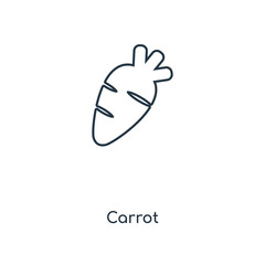carrot icon vector