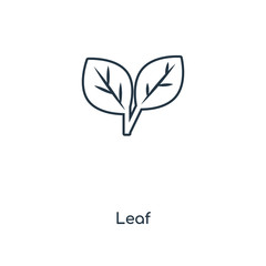 leaf icon vector