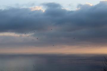 Fototapeta na wymiar Crepuscolo con uccelli in volo sul mare e nuvole